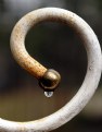 Picture Title - Drip drop