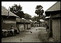Picture Title - Santhal Village