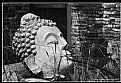 Picture Title - Buddha's immage head cut