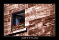 Picture Title - Soft Touch