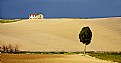 Picture Title - Toscana