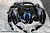 "Blackie The Jumping Spider"
