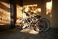 Picture Title - Bicycle yard