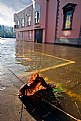 Picture Title - Flood Water & Brolly