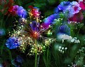 Picture Title - Floral Fireworks