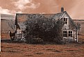 Picture Title - Horse & Abandoned House