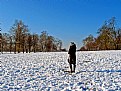 Picture Title - Snow Field