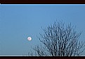 Picture Title - early moon....