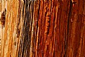 Picture Title - Wood