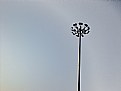 Picture Title - Lamp Post