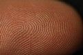 Picture Title - Fingerprint