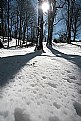 Picture Title - winter shadows
