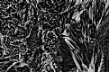 Picture Title - abstract21