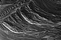 Picture Title - abstract 001