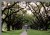 oak alley plantation