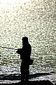 Picture Title - THE FISHERMAN