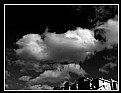 Picture Title - WHITE CLOUD