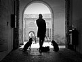 Picture Title - Lady with dogs