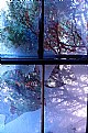 Picture Title - window to the cedars