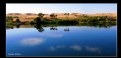 Picture Title - Tranquillity III