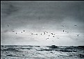 Picture Title - the waves of the sea