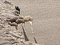 Picture Title - Palanga - sunny and cold day at the sea...