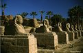 Picture Title - Luxor temple