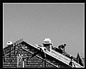 Picture Title - Roof Workers ... #2#     B&W