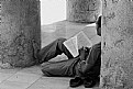 Picture Title - reading