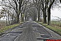 Picture Title - road