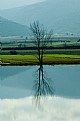 Picture Title - 	landscape