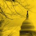 Picture Title - Capitol Hill in Yellow