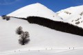 Picture Title - snow_2009_04