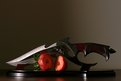 Picture Title - A knife and a strawberry