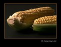 Picture Title - Corn