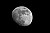 Gibbous Moon