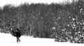 Picture Title - snow_2009_08