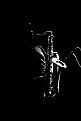 Picture Title - Jazz