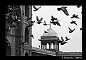 Picture Title - Jama Masjid