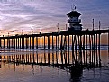 Picture Title - Gulls at sunset