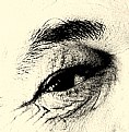 Picture Title - Phographer's eye