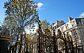 Picture Title - Autumnal Paris 128
