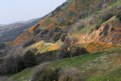 Picture Title - Springtime in the Sierras