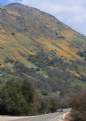 Picture Title - Springtime in the Sierras I