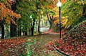 Picture Title - Autumn In The Park