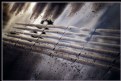Picture Title - Rainy concrete stripes