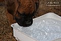 Picture Title - A Clear Drink
