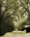 Picture Title - Winter Scene