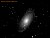 Bode's Galaxy (M81)