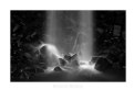 Picture Title - Black-Stone Waterfall
